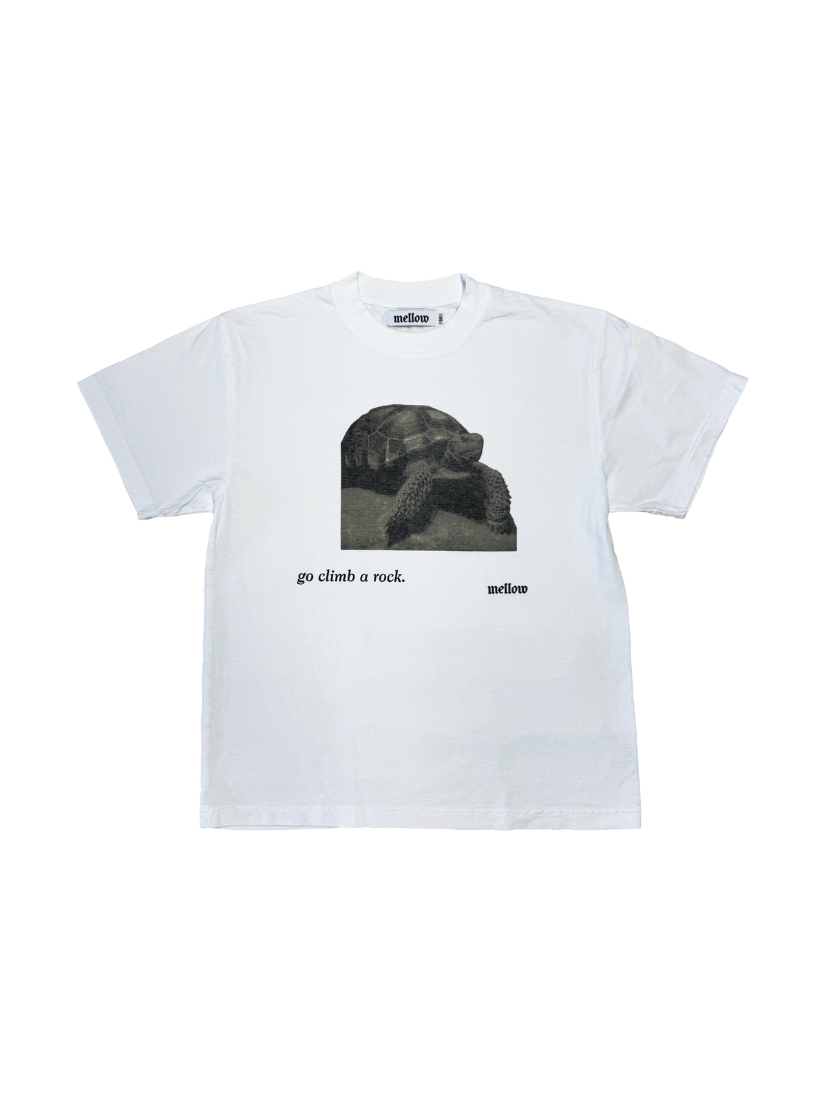 GO CLIMB A ROCK SS TEE - WHITE